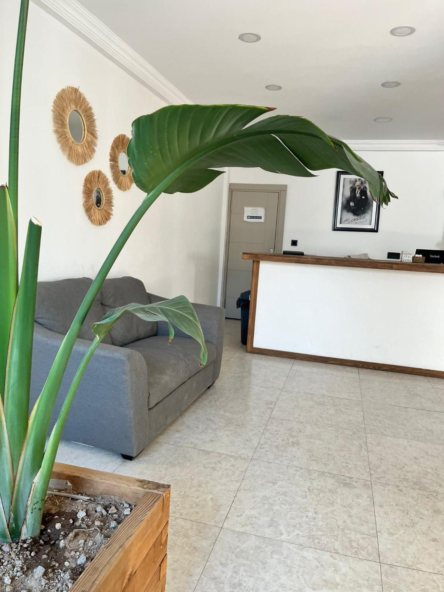 Costa Viva Bodrum Dış mekan fotoğraf